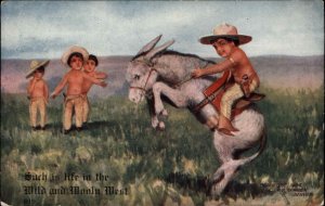 HH Tammen Native American Indian Children With Donkey Vintage Postcard