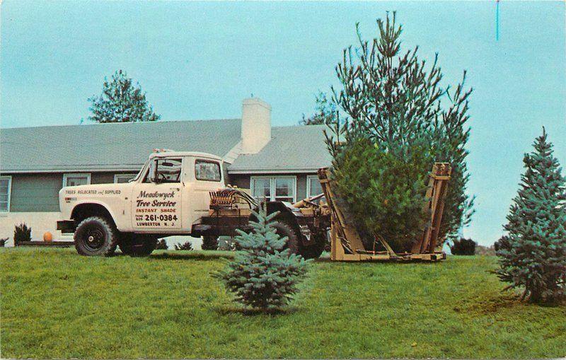 Dexter 1950s Meadowick Tree Service Medford New Jersey postcard 8136