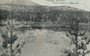 COLUMBUS , Montana , 1900-10s ; Pond Lilies