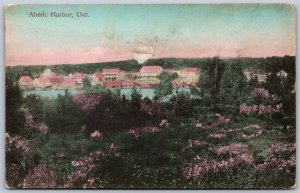 Postcard Ahmic Harbor Ontario c1910s Scenic Town View Almaguin Highlands *as is*