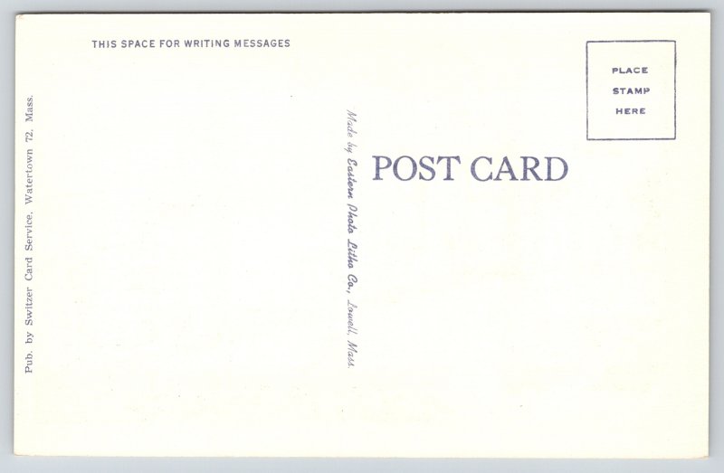 Montpelier Vermont Greetings~Capitol Bldg~Large Letter Linen Vintage Postcard