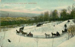 Canada, Quebec, Montreal, Mount Royal Park, Sleighing in Mount Royal Park