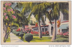 Florida Fort Lauderdale Lovely Homes And Palm Shaded Street In Fort Lauderdal...