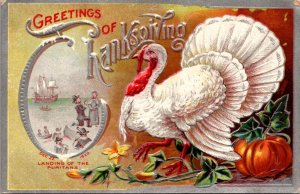 Thanksgiving Postcard Landing of the Puritans Dec 22 1620 White Turkey Pumpkin