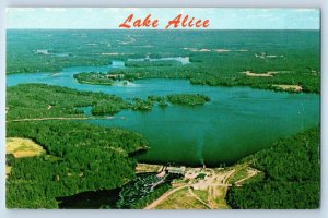 c1960 Tomahawk Wisconsin WI Vintage Postcard Aerial View Lake Alice Forest Trees