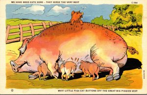 Pigs Feeding We Have Good Eats Here They Serve The Very Best 1945 Curteich