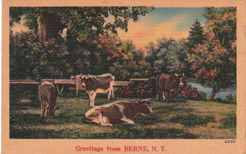 Postcard Greetings from Berne NY