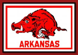 Arkansas - The Razorback Mascot - [AR-084X]