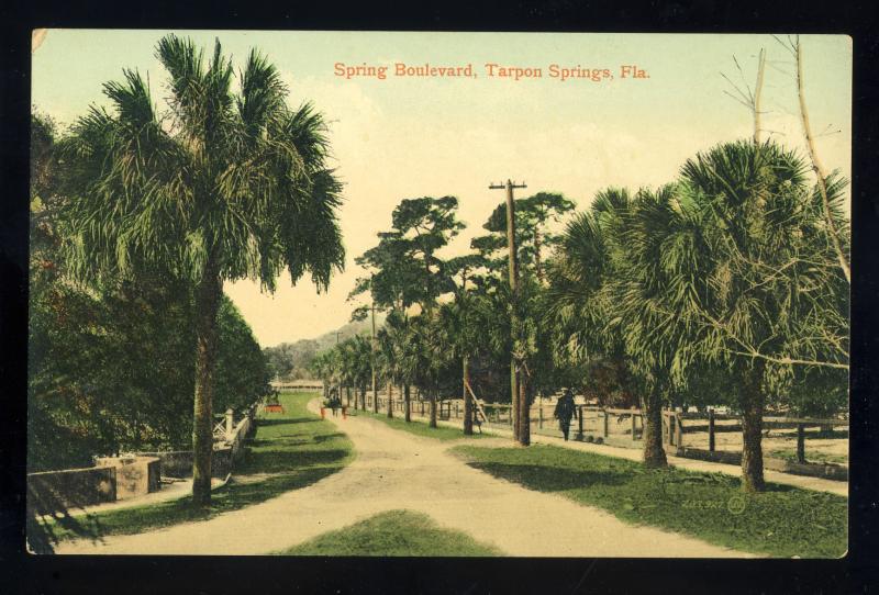 Tarpon Springs, Florida/FL Postcard, Spring Boulevard, Horse & Buggy