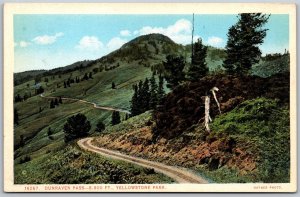 Vtg Wyoming WY Dunraven Pass Yellowstone National Park 1920s Haynes Postcard
