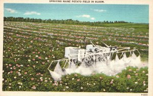 Vintage Postcard Spraying Maine Potato Field In Bloom American Art Post Publ.