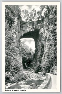 Natural Bridge Virginia Postcard X21