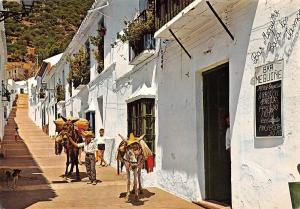 BG35407 mijas costa del sol calle tipica al fondo la sierra spain donkey