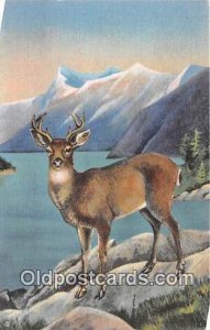 Alaska Blacktail Deer Unused 