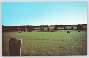 Athens Texas~Panorama of River & Hay In Field~Vintage Postcard