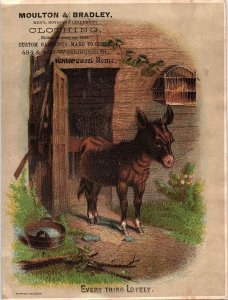 1880s MOULTON & BRADLEY CLOTHING BOSTON DONKEY STABLE VICTORIA TRADE CARD 40-172