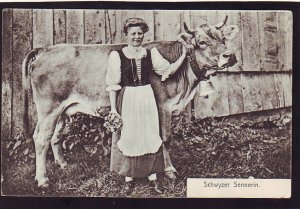 P1389 old unused postcard schwyzer sennerin milk cow bell woman holding flowers