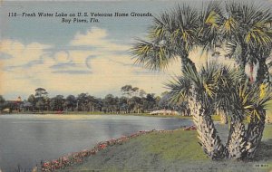 Fresh Water Lake on US Veterans Home Grounds  St Petersburg FL 