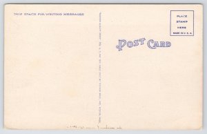 Comics~Man Drinking @ Bar~Giant Fish on Wall~Angry Bartender~1950s Postcard