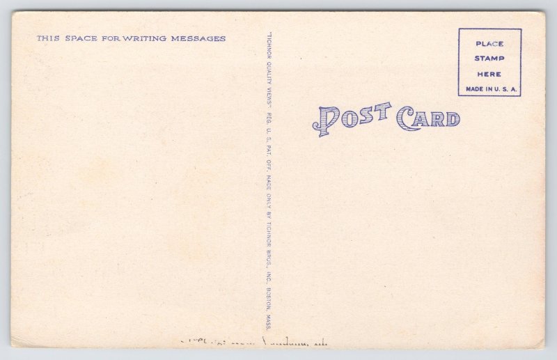 Comics~Man Drinking @ Bar~Giant Fish on Wall~Angry Bartender~1950s Postcard