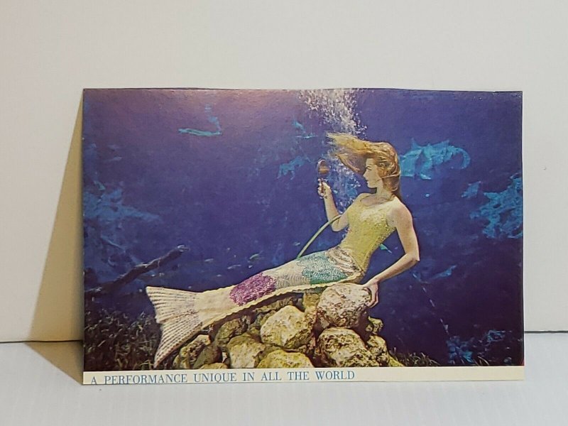 Postcard Florida Mermaid performers water ballet Wekki Wachee Two Sided   433