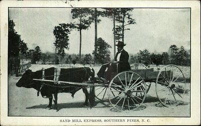 Southern Pines NC Sand Mill Express Oxen Cart c1910 Postcard