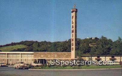 Flamingo Hotel - Santa Rosa, CA