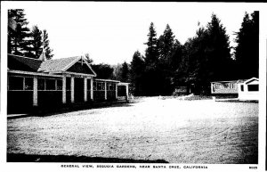 Postcard GARDEN SCENE Santa Cruz California CA AO4532