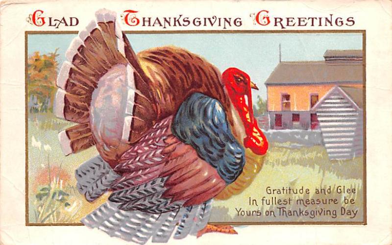 Thanksgiving Postcard Old Vintage Antique Post Card