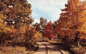 Greetings from - Lake Puckaway, Wisconsin WI  