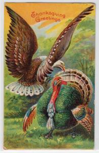 Thanksgiving, Turkey & Eagle