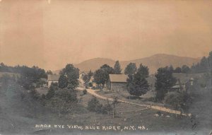 RPPC BIRD'S EYE VIEW BLUE RIDGE NEW YORK DPO PHOTO POSTCARD 1923