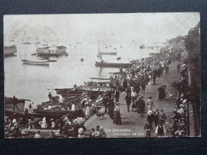 Essex SOUTHEND ON SEA The Busy Esplanade c1904 Postcard by Ellis