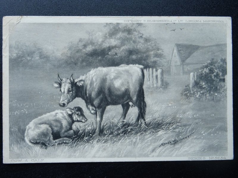 Country Life 5 x FARM YARD ANIMALS c1904 Postcard by Hildesheimer 5234