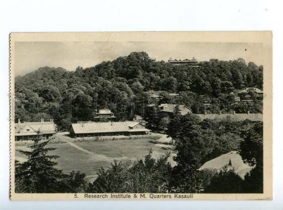 147310 INDIA KASAULI Research institute Vintage postcard