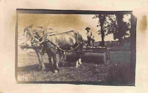 Horse Team and Roller Farming 1910s RPPC Real Photo postcard