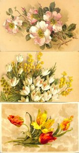 Flowers fantasy blossom snowdrops & tulips lot of 3 vintage postcards c.1916 