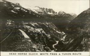 Dead Horse Gulch White Pass & Yukon Rte RR Train Tracks Real Photo Postcard