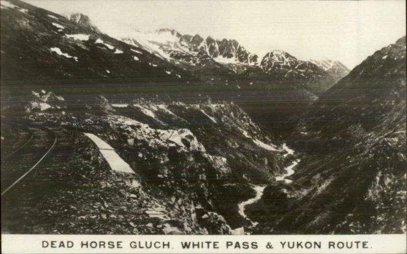 Dead Horse Gulch White Pass & Yukon Rte RR Train Tracks Real Photo Postcard