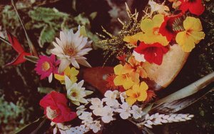 Vintage Postcard Group Of Island Flowers Colorful Blend Of Hawaiian Flowers HI