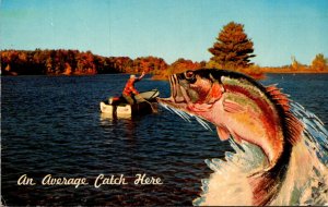 Fishing Humour Exageration Giant Fishing An Average Catch Here 1970