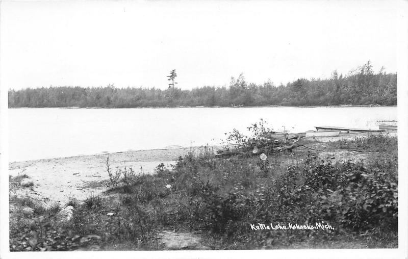 Kalkaska Michigan~Kettle Lake~Drift Wood on Shore~1950s RPPC