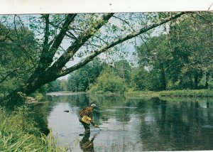 P1730 1958 angler bass fishing penn river netting a fish