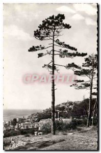 Old Postcard Le Havre I F General view of the city and the sea