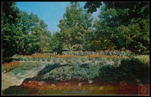 Beautiful floral display in City Park, Hickory, NC