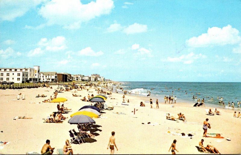 Virginia Virginia Beach Sun Bathers 1972