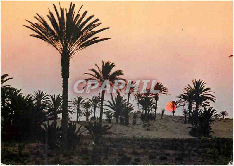 Postcard Modern Tunisia Sun Sunset