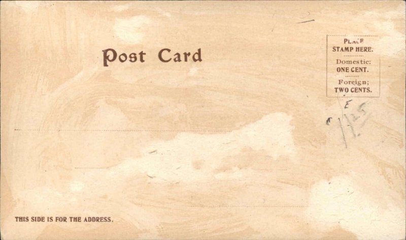 Native Americana Medicine Man c1905 EC Kropp #270 Postcard