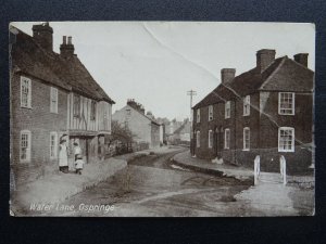 Kent Faversham OSPRINGE Water Lane c1920's Postcard