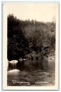 c1918 Forest River Stream View Dinsmores California CA RPPC Photo Postcard